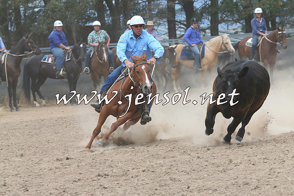 BraidwoodCampdraft2014_3063