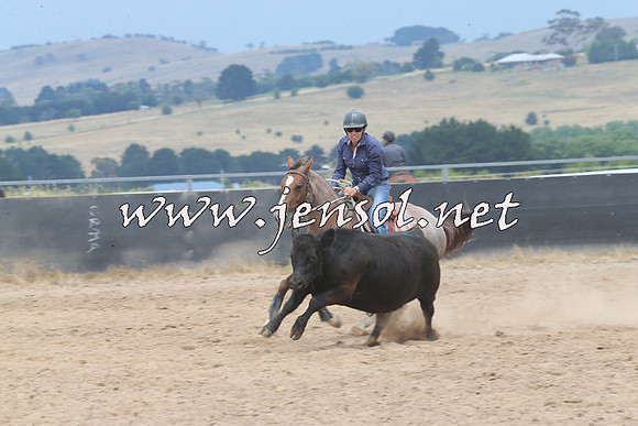 BraidwoodCampdraft2014_3018