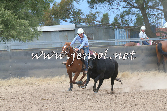 BraidwoodCampdraft2014_2740