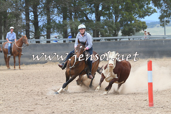 BraidwoodCampdraft2014_2773