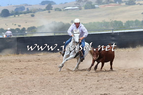 BraidwoodCampdraft2014_2798