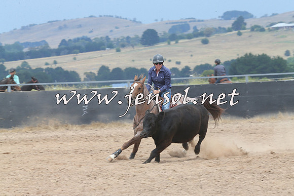 BraidwoodCampdraft2014_3020