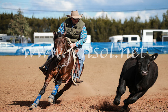 CCCampdraft2016_3179