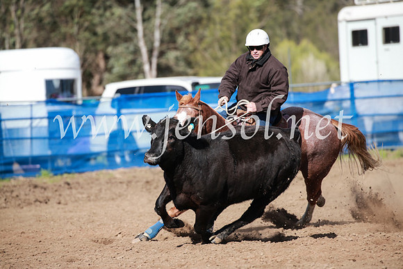 CCCampdraft2016_3274