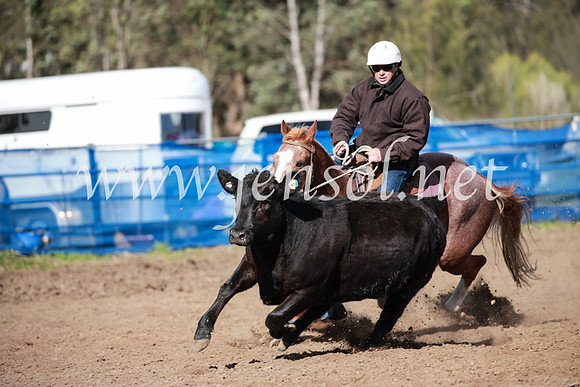 CCCampdraft2016_3275