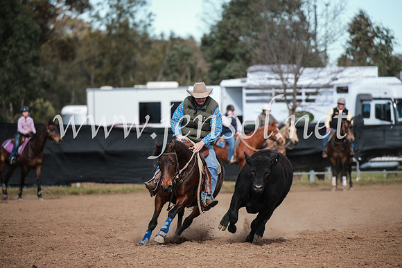 CCCampdraft2016_3220