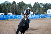 CCCampdraft2016_3164