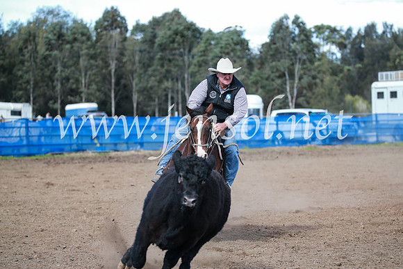 CCCampdraft2016_3164