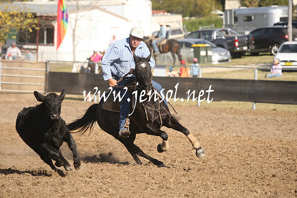MossValeCampdraft2013_1081