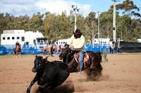 CCCampdraft2016_3152