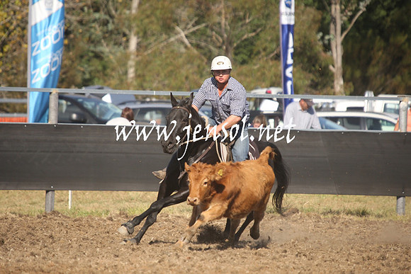 MossValeCampdraft2013_0957