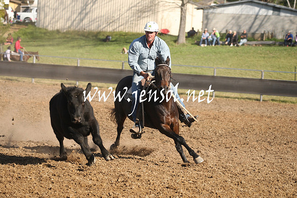 MossValeCampdraft2013_1061