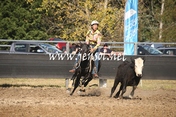 MossValeCampdraft2013_0989