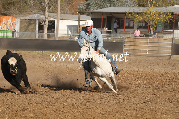 MossValeCampdraft2013_1121