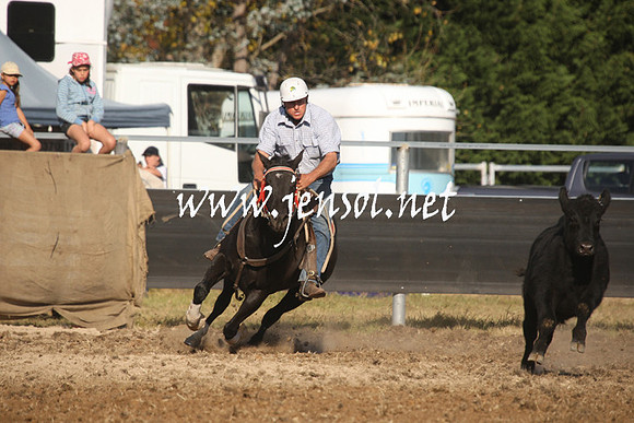 MossValeCampdraft2013_1130