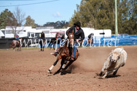CCCampdraft2016_3240
