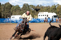 CCCampdraft2016_3150