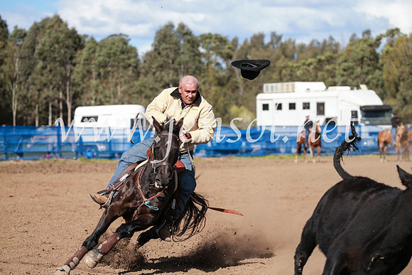 CCCampdraft2016_3150