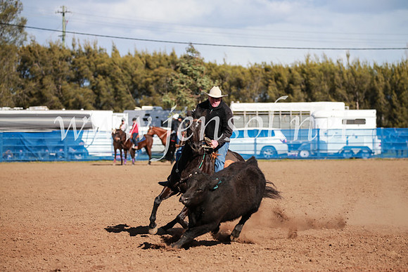 CCCampdraft2016_3308