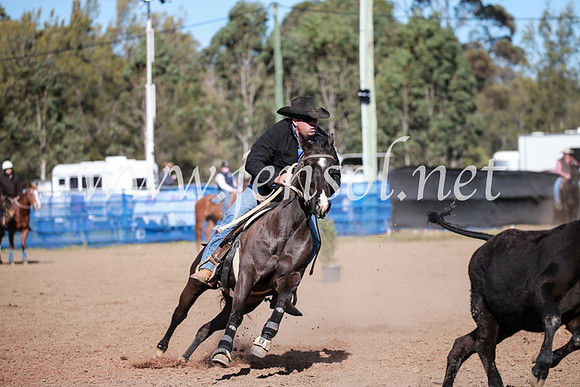 CCCampdraft2016_3284