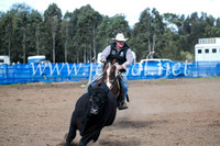 CCCampdraft2016_3163