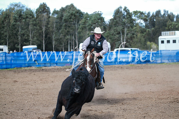 CCCampdraft2016_3163