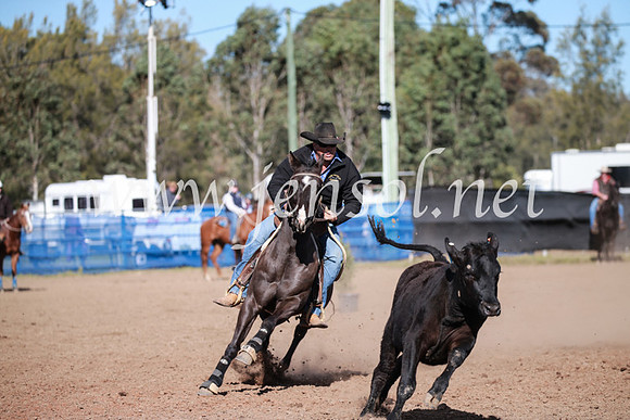 CCCampdraft2016_3286