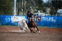 CCCampdraft2016_3242