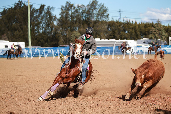 CCCampdraft2016_3229