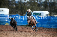 CCCampdraft2016_3204