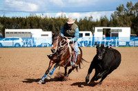 CCCampdraft2016_3188