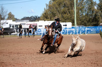 CCCampdraft2016_3237