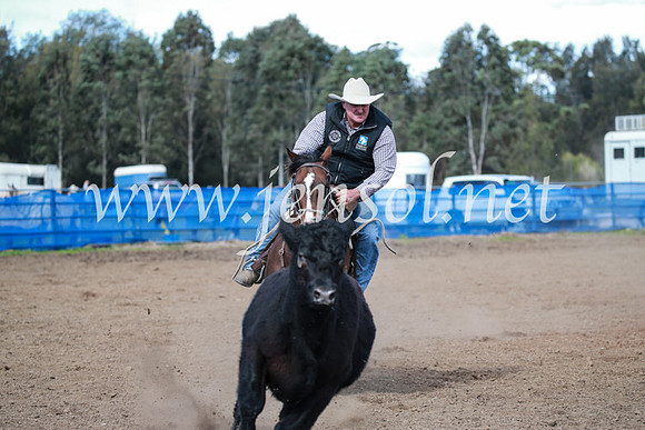 CCCampdraft2016_3162