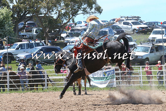 BungendoreRodeo2014_1741