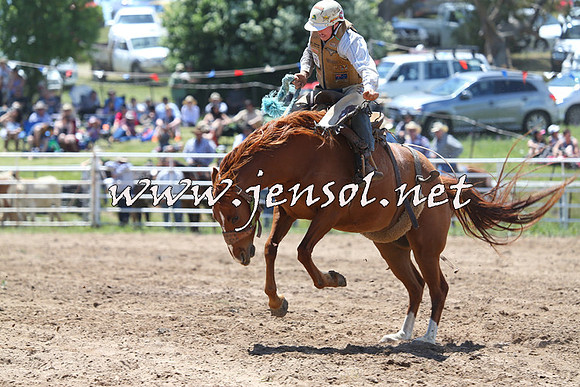 BungendoreRodeo2014_1416