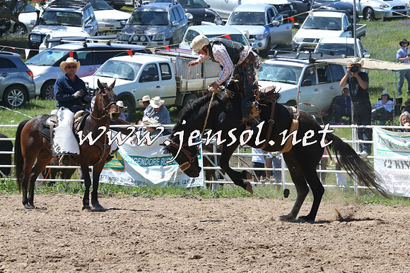 BungendoreRodeo2014_1857