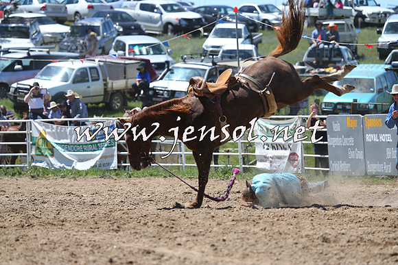 BungendoreRodeo2014_1653