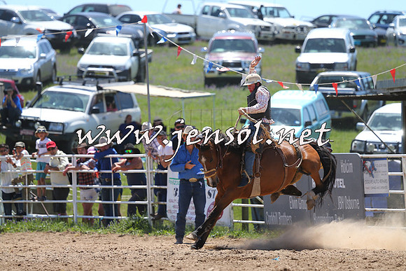 BungendoreRodeo2014_0939