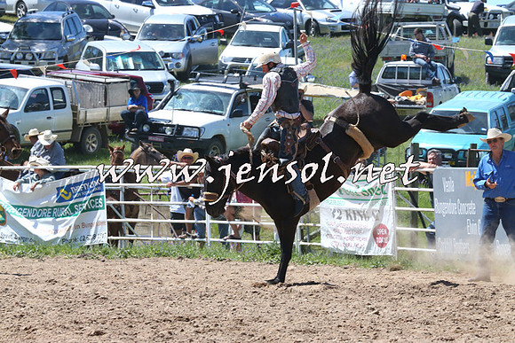BungendoreRodeo2014_1859