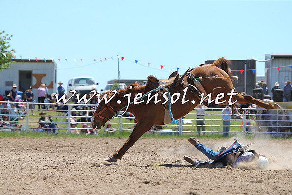 BungendoreRodeo2014_0984