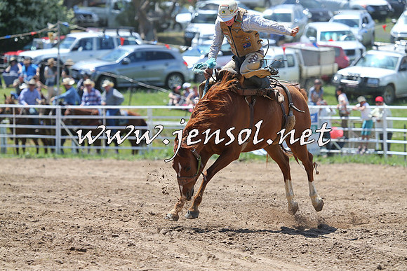 BungendoreRodeo2014_1413