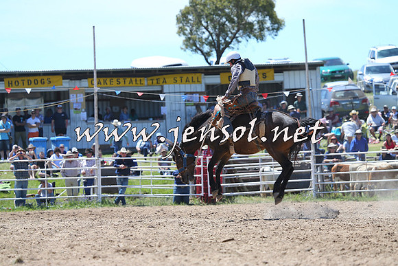 BungendoreRodeo2014_1699