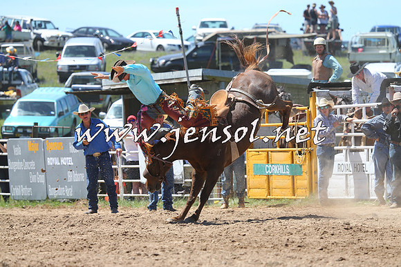 BungendoreRodeo2014_1661