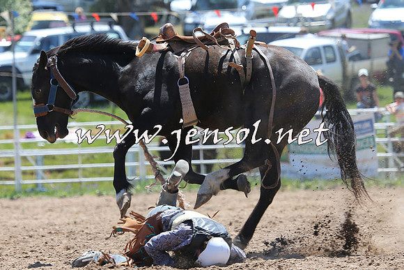 BungendoreRodeo2014_0928