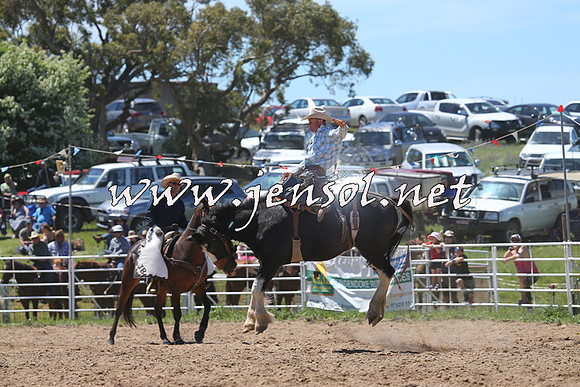 BungendoreRodeo2014_1637