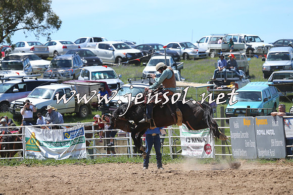 BungendoreRodeo2014_1714