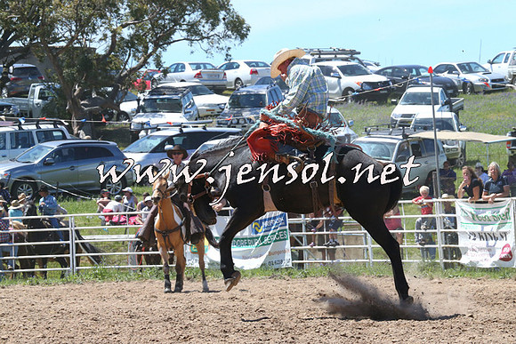 BungendoreRodeo2014_1744