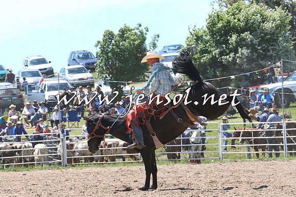 BungendoreRodeo2014_1735