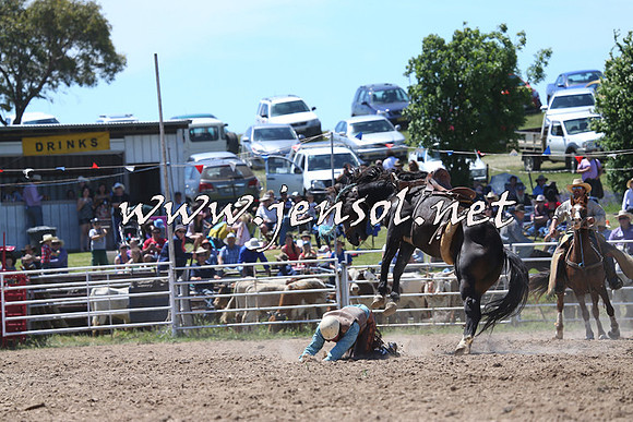 BungendoreRodeo2014_1725