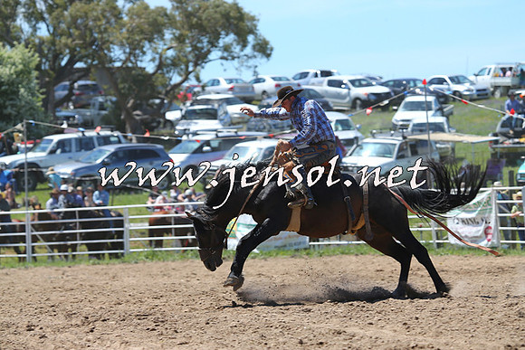 BungendoreRodeo2014_1611
